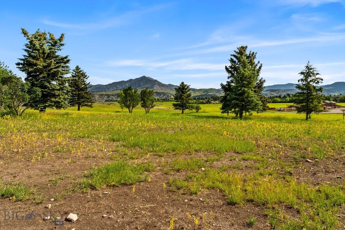 Tbd Lot 17 Boreal Way, Bozeman, Montana 59715, Bozeman, Montana 59715, ,Land,For Sale,Tbd Lot 17 Boreal Way, Bozeman, Montana 59715,0,399741