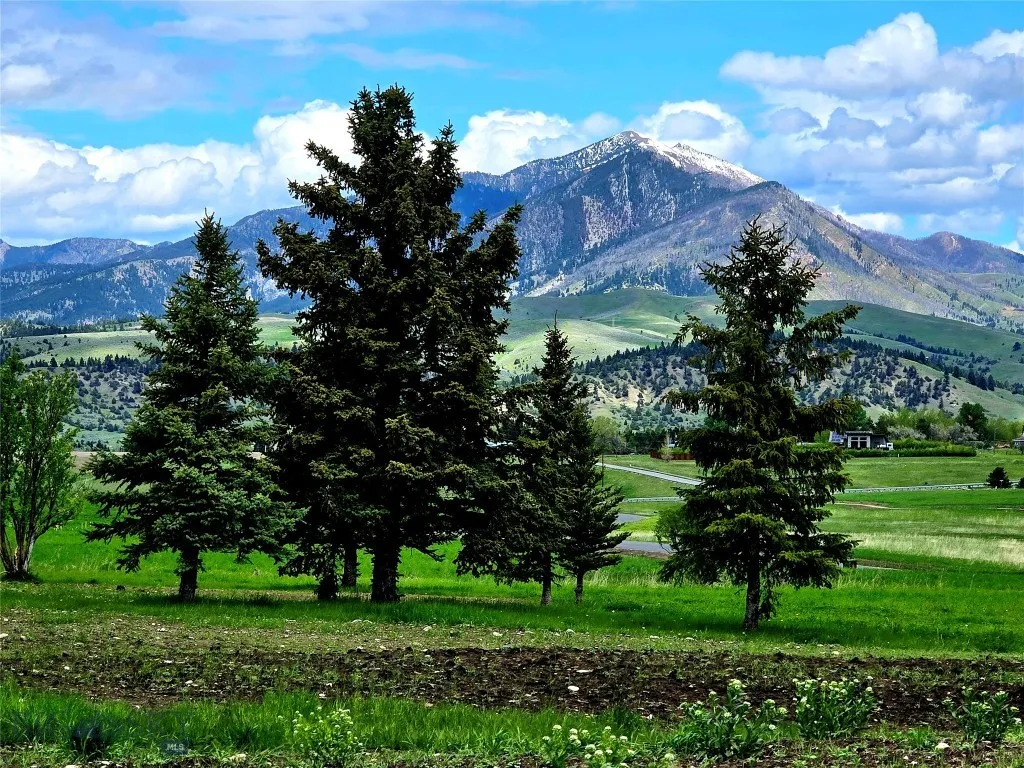 Lot 17, the only lot with mature trees to offer privacy