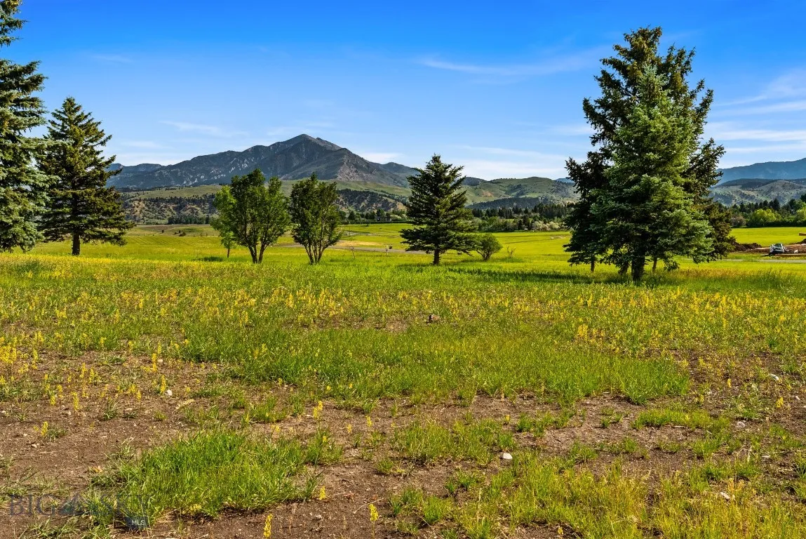 Tbd Lot 17 Boreal Way, Bozeman, Montana 59715, Bozeman, Montana 59715, ,Land,For Sale,Tbd Lot 17 Boreal Way, Bozeman, Montana 59715,0,399741
