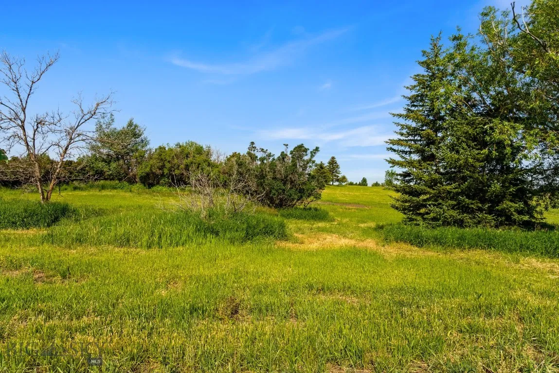 Tbd Lot 17 Boreal Way, Bozeman, Montana 59715, Bozeman, Montana 59715, ,Land,For Sale,Tbd Lot 17 Boreal Way, Bozeman, Montana 59715,0,399741