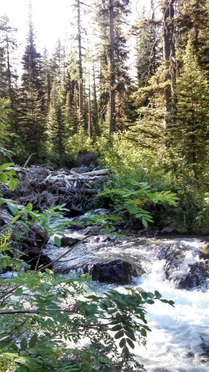 On a hiking path to a nearby waterfall