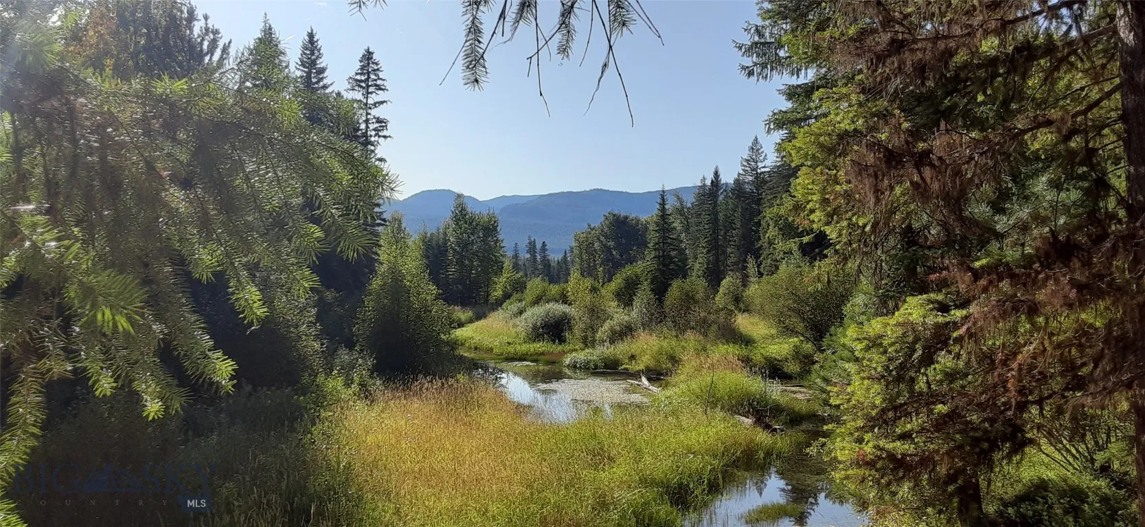 7395 Mt Highway 83, Condon, Montana 59826, Condon, Montana 59826, 2 Bedrooms Bedrooms, ,1 BathroomBathrooms,Residential,For Sale,7395 Mt Highway 83, Condon, Montana 59826,399841