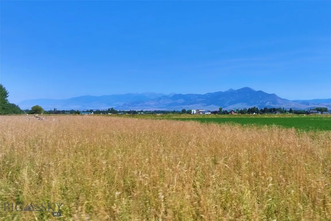 Lot 8 Reilley Road, Bozeman, Montana 59718, Bozeman, Montana 59718, ,Land,For Sale,Lot 8 Reilley Road, Bozeman, Montana 59718,0,399923
