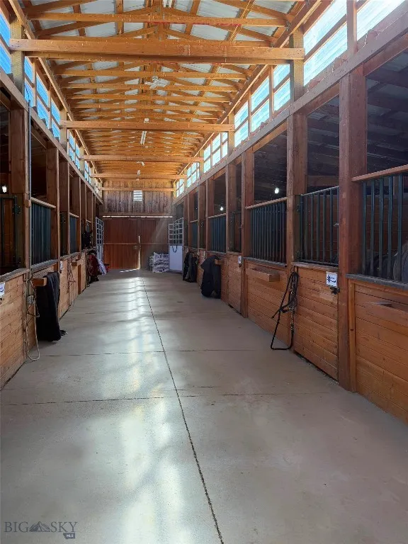Main Barn New Skylights