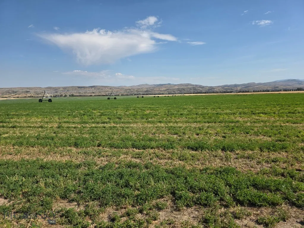 Parcel B1 Manhattan Frontage E Road, Manhattan, Mo, Manhattan, Montana 59741, ,Land,For Sale,Parcel B1 Manhattan Frontage E Road, Manhattan, Mo,0,400173