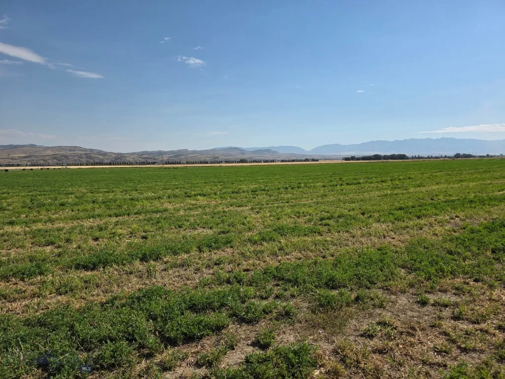 Parcel B1 Manhattan Frontage E Road, Manhattan, Mo, Manhattan, Montana 59741, ,Land,For Sale,Parcel B1 Manhattan Frontage E Road, Manhattan, Mo,0,400173