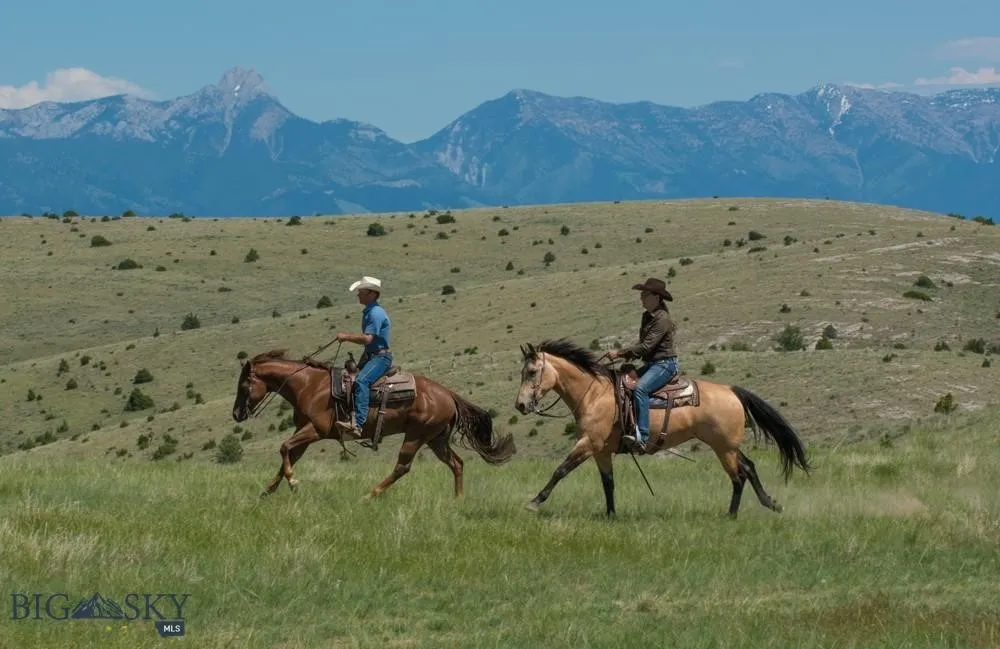Lot 94 Tbd Nixon Gulch Road, Manhattan, Montana 59, Manhattan, Montana 59741, ,Land,For Sale,Lot 94 Tbd Nixon Gulch Road, Manhattan, Montana 59,0,400273