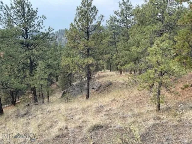 Tbd Mountain Home Lane, Cascade, Montana 59421, Cascade, Montana 59421, ,Land,For Sale,Tbd Mountain Home Lane, Cascade, Montana 59421,0,400379