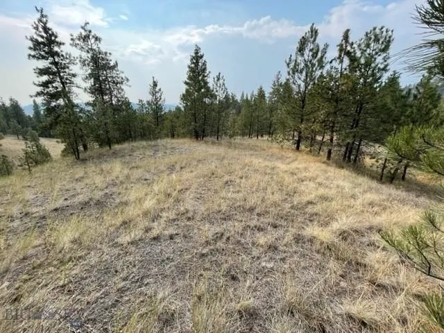Tbd Mountain Home Lane, Cascade, Montana 59421, Cascade, Montana 59421, ,Land,For Sale,Tbd Mountain Home Lane, Cascade, Montana 59421,0,400379