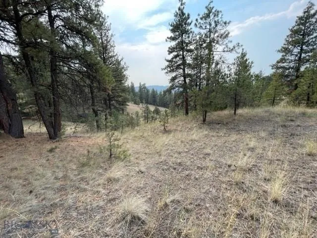 Tbd Mountain Home Lane, Cascade, Montana 59421, Cascade, Montana 59421, ,Land,For Sale,Tbd Mountain Home Lane, Cascade, Montana 59421,0,400379