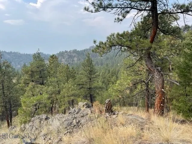 Tbd Mountain Home Lane, Cascade, Montana 59421, Cascade, Montana 59421, ,Land,For Sale,Tbd Mountain Home Lane, Cascade, Montana 59421,0,400379