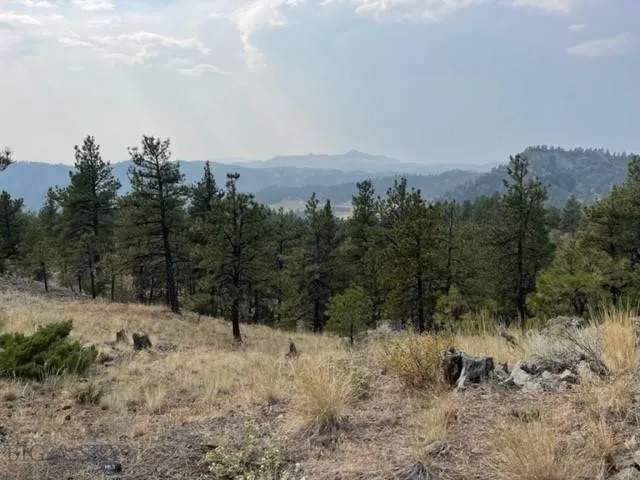 Tbd Mountain Home Lane, Cascade, Montana 59421, Cascade, Montana 59421, ,Land,For Sale,Tbd Mountain Home Lane, Cascade, Montana 59421,0,400379