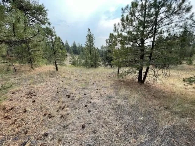 Tbd Mountain Home Lane, Cascade, Montana 59421, Cascade, Montana 59421, ,Land,For Sale,Tbd Mountain Home Lane, Cascade, Montana 59421,0,400379