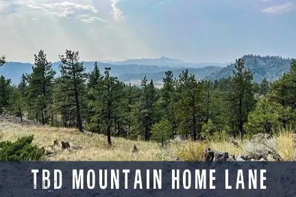 Tbd Mountain Home Lane, Cascade, Montana 59421, Cascade, Montana 59421, ,Land,For Sale,Tbd Mountain Home Lane, Cascade, Montana 59421,0,400379