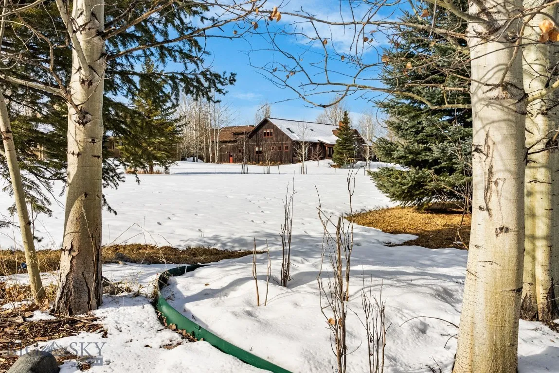 Mature trees on/adjacent to property