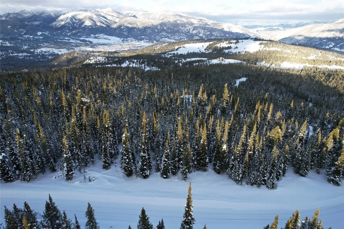 Pioneer mountain views