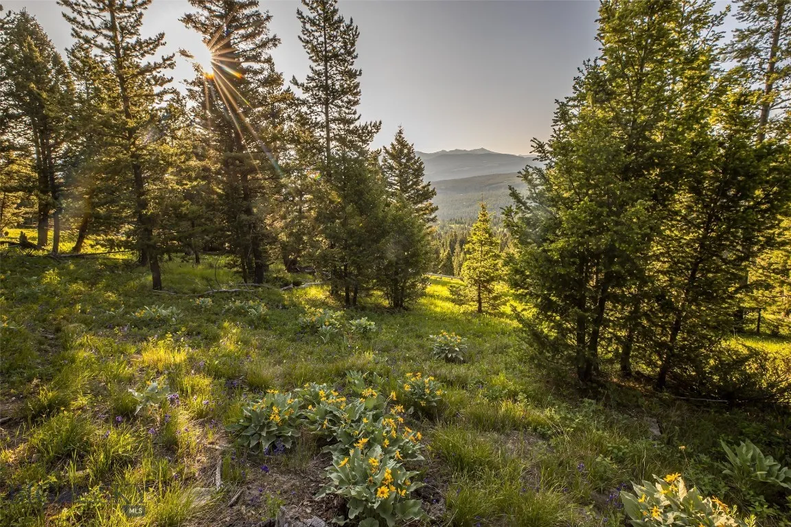 Tbd Doolittle Drive Lot #31, Big Sky, Montana 5971, Big Sky, Montana 59716, ,Land,For Sale,Tbd Doolittle Drive Lot #31, Big Sky, Montana 5971,398838