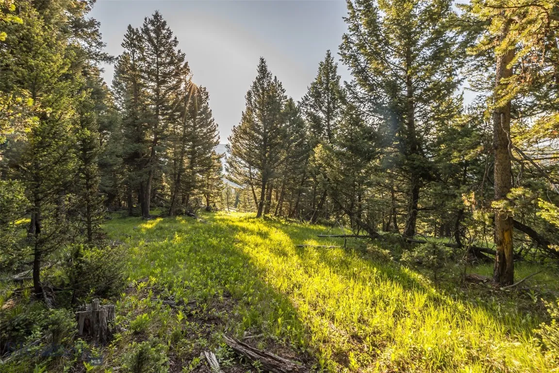 Tbd Doolittle Drive Lot #31, Big Sky, Montana 5971, Big Sky, Montana 59716, ,Land,For Sale,Tbd Doolittle Drive Lot #31, Big Sky, Montana 5971,398838
