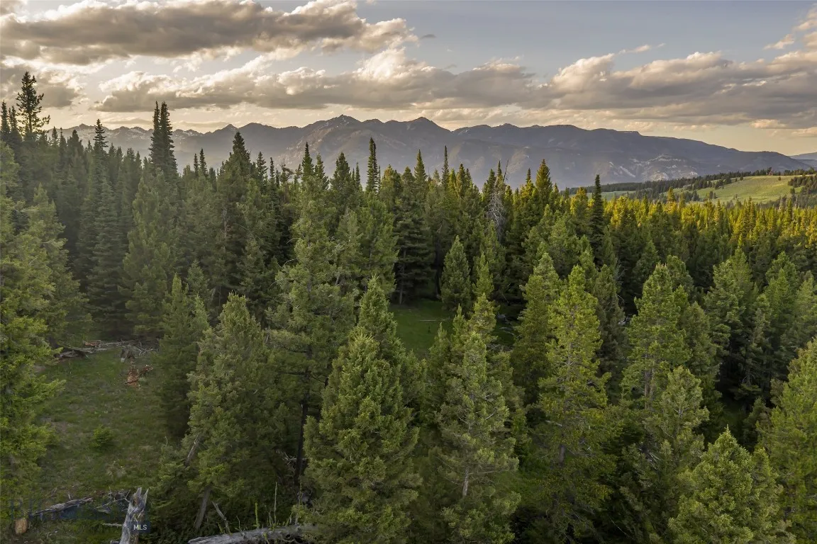 Tbd Doolittle Drive Lot #31, Big Sky, Montana 5971, Big Sky, Montana 59716, ,Land,For Sale,Tbd Doolittle Drive Lot #31, Big Sky, Montana 5971,398838