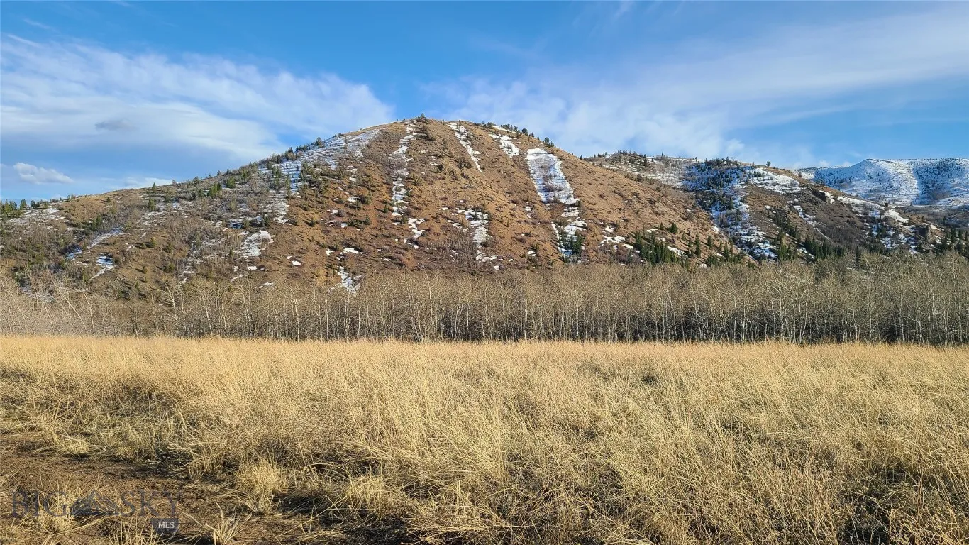 Upper area of land above the house.