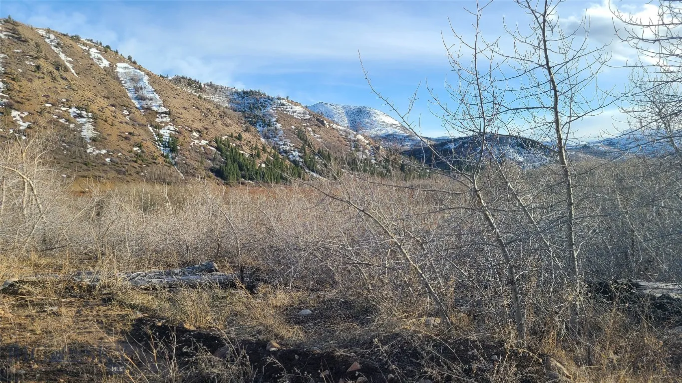 More land further away from the house.