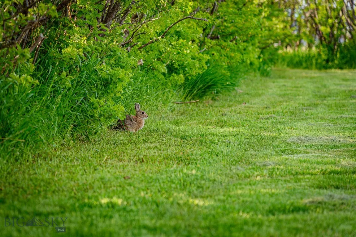 745/749 Rocky Road, Bozeman, Montana 59718, Bozeman, Montana 59718, ,Residential Income,For Sale,745/749 Rocky Road, Bozeman, Montana 59718,0,400997