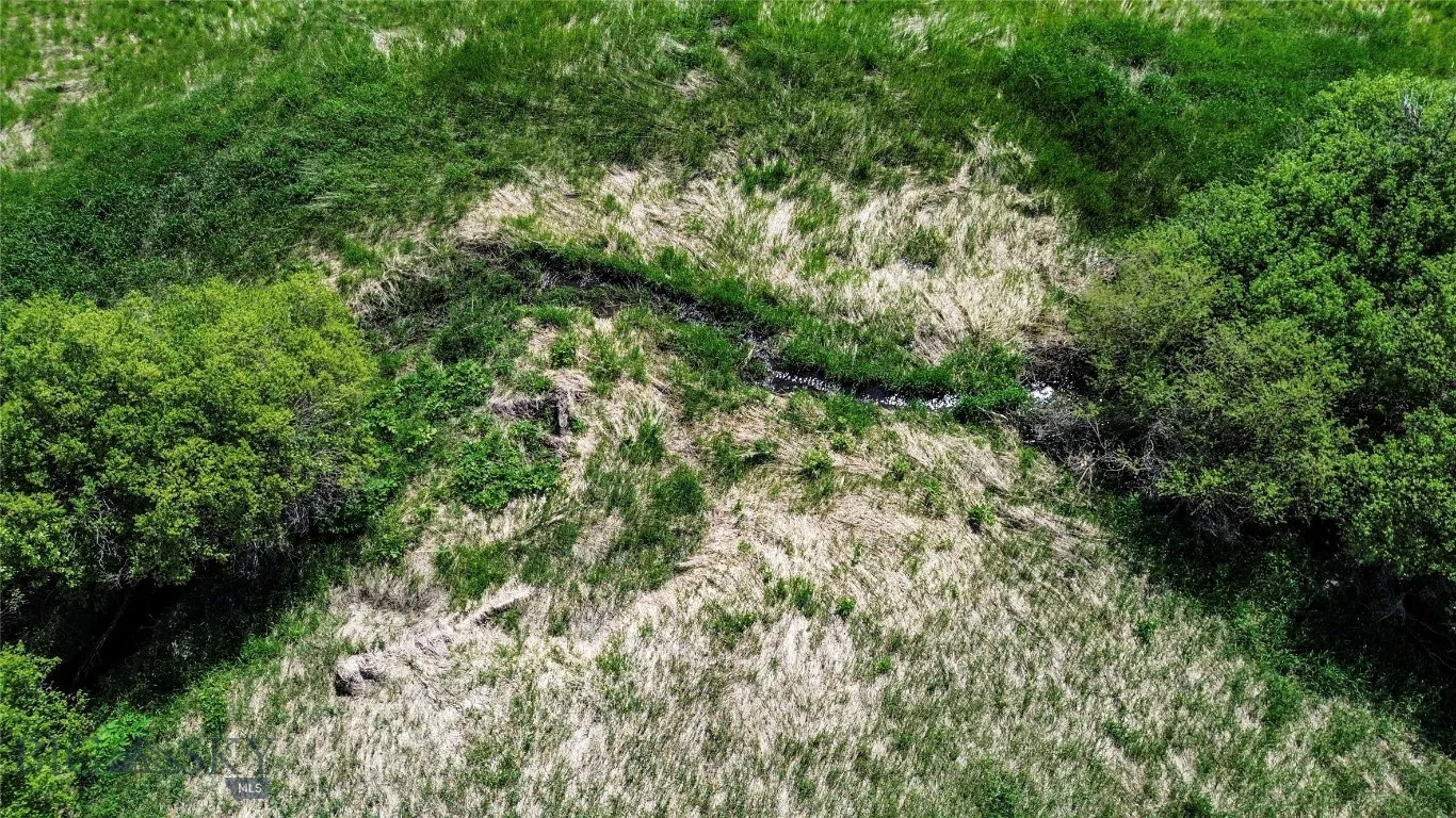 Birdseye view of creek