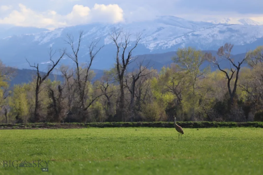 5191 Old Yellowstone Trail, Three Forks, Montana 5, Three Forks, Montana 59752, 5 Bedrooms Bedrooms, ,Farm,For Sale,5191 Old Yellowstone Trail, Three Forks, Montana 5,0,401933