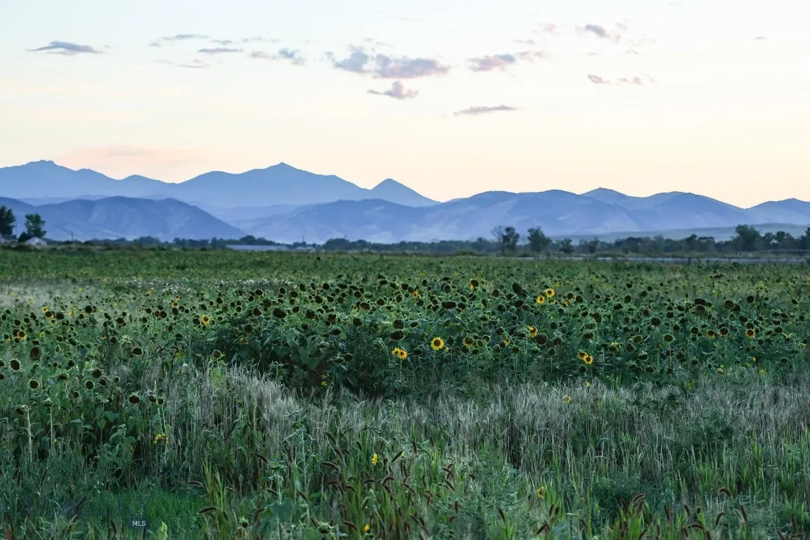 5191 Old Yellowstone Trail, Three Forks, Montana 5, Three Forks, Montana 59752, 5 Bedrooms Bedrooms, ,Farm,For Sale,5191 Old Yellowstone Trail, Three Forks, Montana 5,0,401933