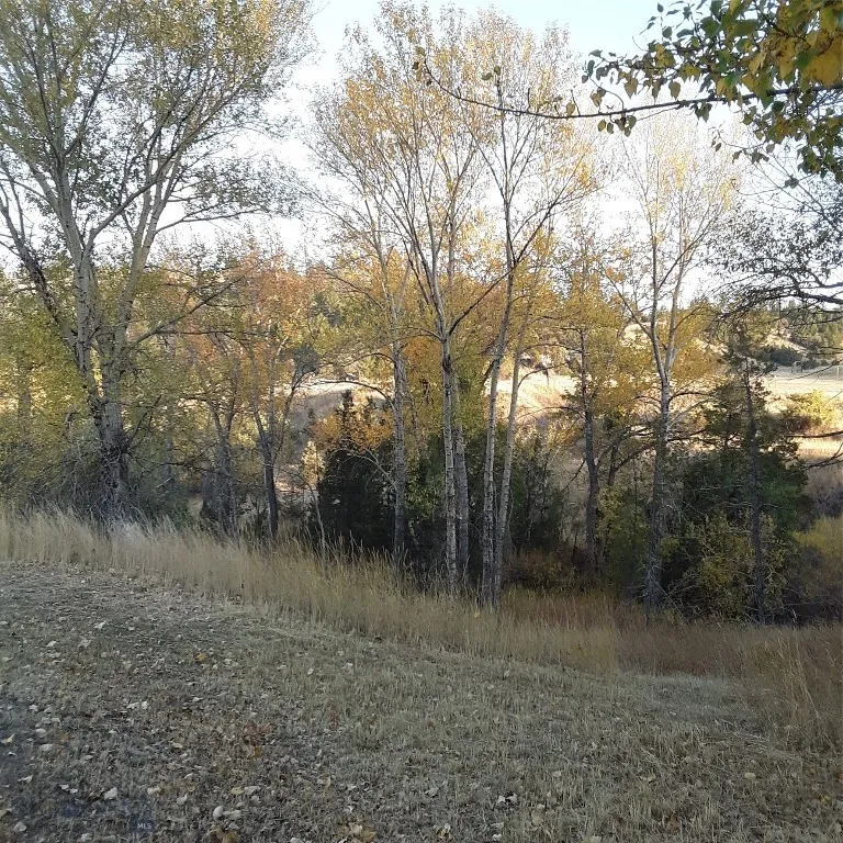 967 Mt Highway 2 W, Whitehall, Montana 59759, Whitehall, Montana 59759, 3 Bedrooms Bedrooms, ,2 BathroomsBathrooms,Residential,For Sale,967 Mt Highway 2 W, Whitehall, Montana 59759,402015