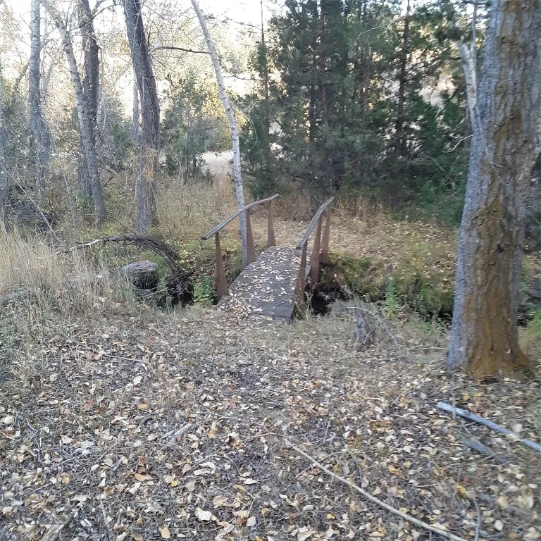 967 Mt Highway 2 W, Whitehall, Montana 59759, Whitehall, Montana 59759, 3 Bedrooms Bedrooms, ,2 BathroomsBathrooms,Residential,For Sale,967 Mt Highway 2 W, Whitehall, Montana 59759,402015