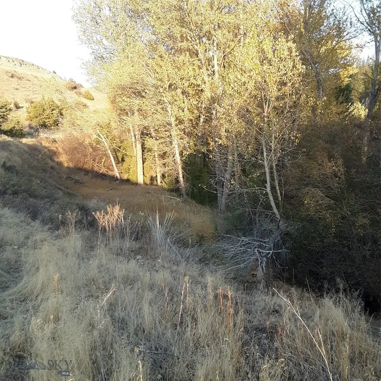 967 Mt Highway 2 W, Whitehall, Montana 59759, Whitehall, Montana 59759, 3 Bedrooms Bedrooms, ,2 BathroomsBathrooms,Residential,For Sale,967 Mt Highway 2 W, Whitehall, Montana 59759,402015