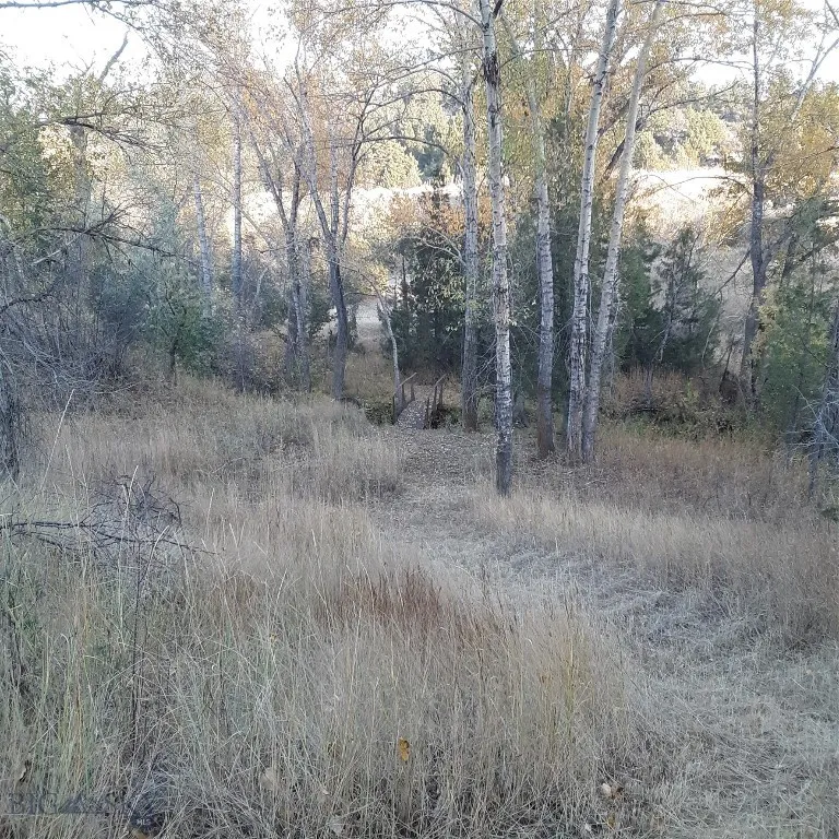 967 Mt Highway 2 W, Whitehall, Montana 59759, Whitehall, Montana 59759, 3 Bedrooms Bedrooms, ,2 BathroomsBathrooms,Residential,For Sale,967 Mt Highway 2 W, Whitehall, Montana 59759,402015