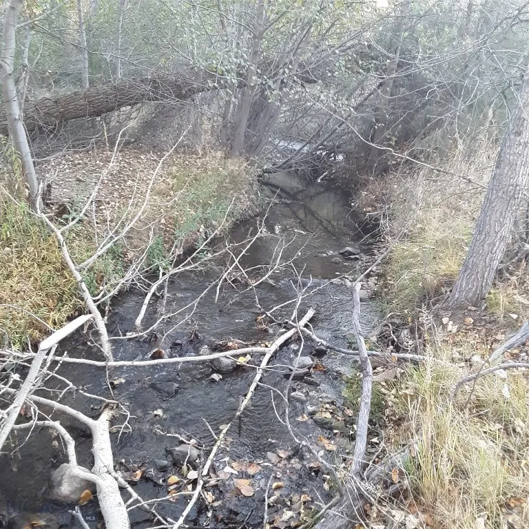 967 Mt Highway 2 W, Whitehall, Montana 59759, Whitehall, Montana 59759, 3 Bedrooms Bedrooms, ,2 BathroomsBathrooms,Residential,For Sale,967 Mt Highway 2 W, Whitehall, Montana 59759,402015