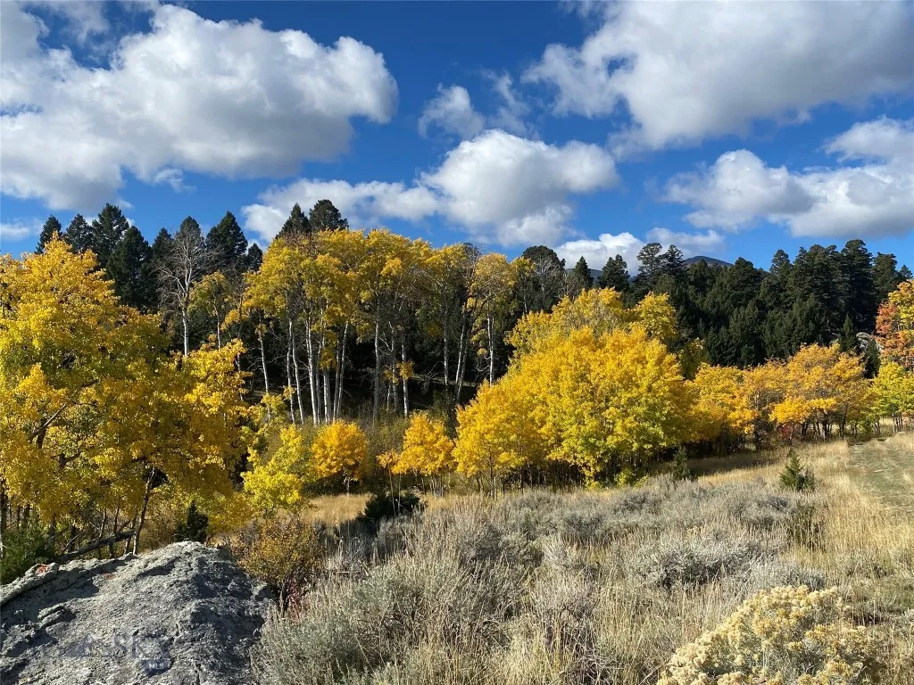 5845 Dry Creek Ranch Road, Whitehall, Montana 5975, Whitehall, Montana 59759, 3 Bedrooms Bedrooms, ,3 BathroomsBathrooms,Residential,For Sale,5845 Dry Creek Ranch Road, Whitehall, Montana 5975,0,402848