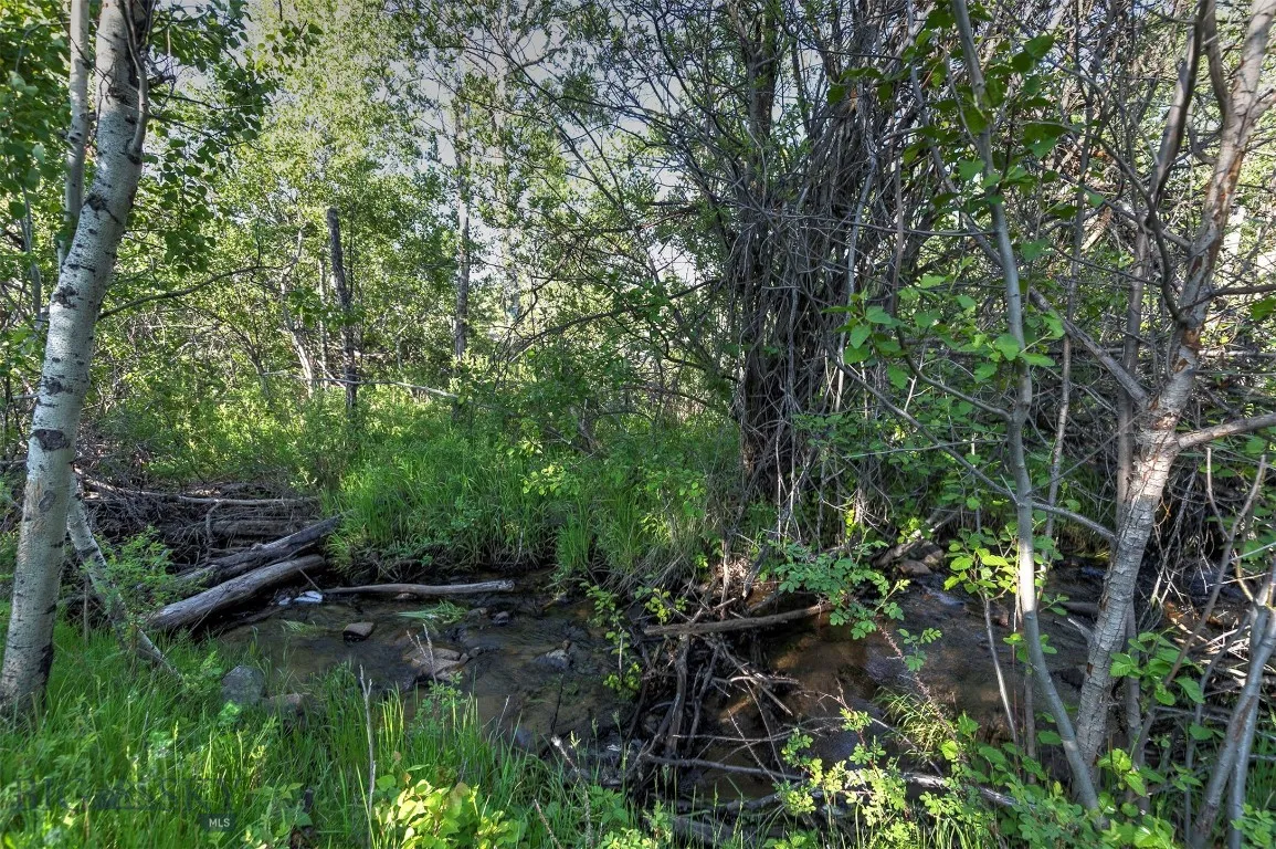 5845 Dry Creek Ranch Road, Whitehall, Montana 5975, Whitehall, Montana 59759, 3 Bedrooms Bedrooms, ,3 BathroomsBathrooms,Residential,For Sale,5845 Dry Creek Ranch Road, Whitehall, Montana 5975,0,402848