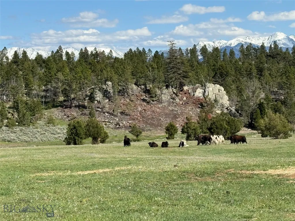 5845 Dry Creek Ranch Road, Whitehall, Montana 5975, Whitehall, Montana 59759, 3 Bedrooms Bedrooms, ,3 BathroomsBathrooms,Residential,For Sale,5845 Dry Creek Ranch Road, Whitehall, Montana 5975,0,402848