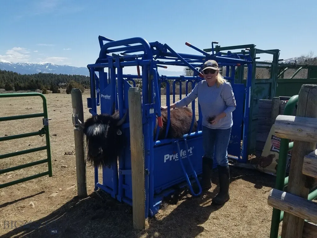 5845 Dry Creek Ranch Road, Whitehall, Montana 5975, Whitehall, Montana 59759, 3 Bedrooms Bedrooms, ,3 BathroomsBathrooms,Residential,For Sale,5845 Dry Creek Ranch Road, Whitehall, Montana 5975,0,402848