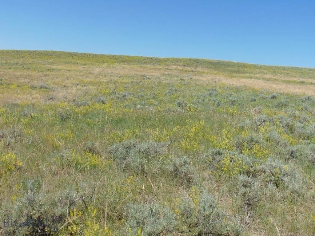 Tbd Wilder Trail, Lewistown, Montana 59457, Lewistown, Montana 59457, ,Land,For Sale,Tbd Wilder Trail, Lewistown, Montana 59457,0,402912