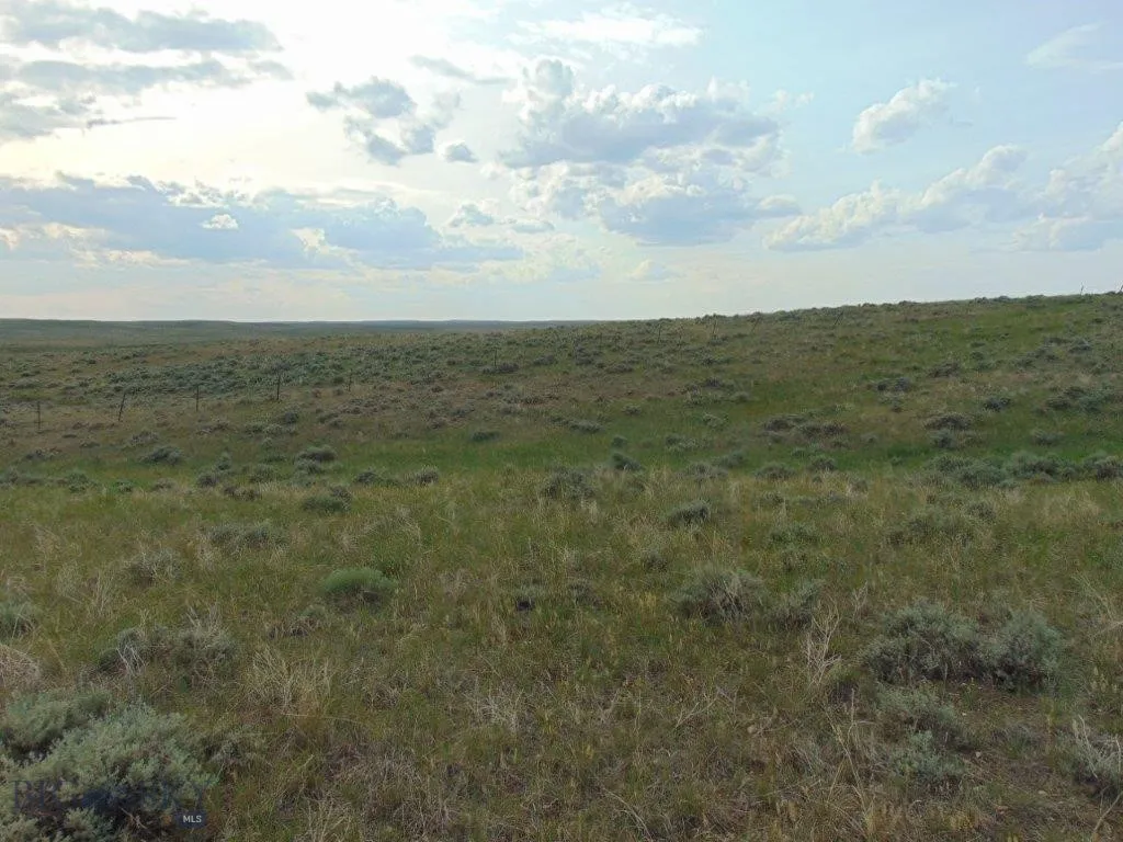 Tbd Wilder Trail, Lewistown, Montana 59457, Lewistown, Montana 59457, ,Land,For Sale,Tbd Wilder Trail, Lewistown, Montana 59457,0,402912
