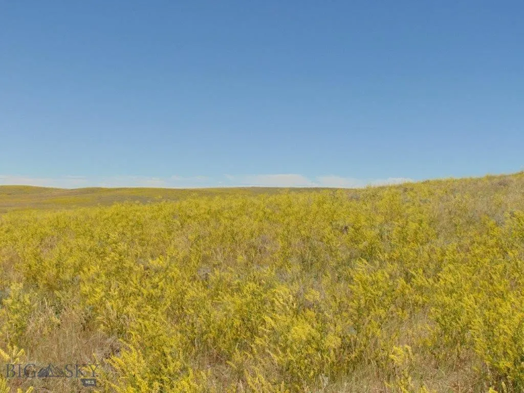 Tbd Wilder Trail, Lewistown, Montana 59457, Lewistown, Montana 59457, ,Land,For Sale,Tbd Wilder Trail, Lewistown, Montana 59457,0,402912