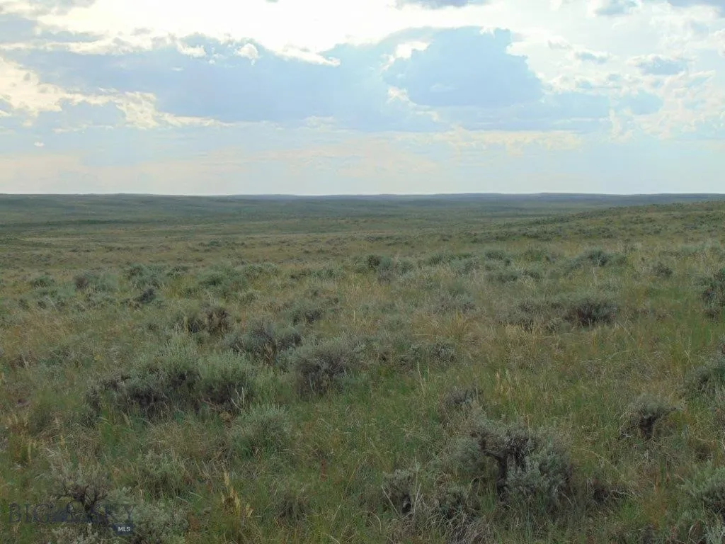 Tbd Wilder Trail, Lewistown, Montana 59457, Lewistown, Montana 59457, ,Land,For Sale,Tbd Wilder Trail, Lewistown, Montana 59457,0,402912