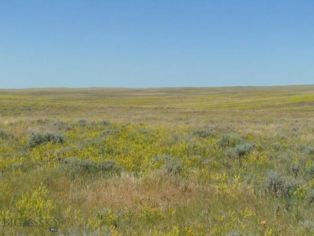 Tbd Wilder Trail, Lewistown, Montana 59457, Lewistown, Montana 59457, ,Land,For Sale,Tbd Wilder Trail, Lewistown, Montana 59457,0,402912
