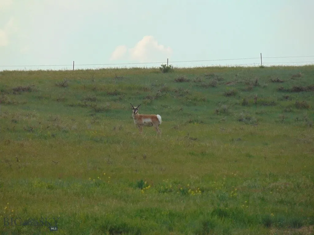 Tbd Wilder Trail, Lewistown, Montana 59457, Lewistown, Montana 59457, ,Land,For Sale,Tbd Wilder Trail, Lewistown, Montana 59457,0,402912