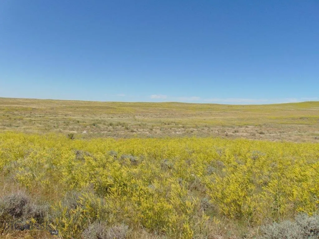 Tbd Wilder Trail, Lewistown, Montana 59457, Lewistown, Montana 59457, ,Land,For Sale,Tbd Wilder Trail, Lewistown, Montana 59457,0,402912