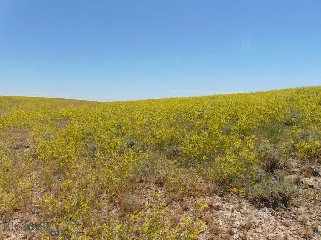 Tbd Wilder Trail, Lewistown, Montana 59457, Lewistown, Montana 59457, ,Land,For Sale,Tbd Wilder Trail, Lewistown, Montana 59457,0,402912