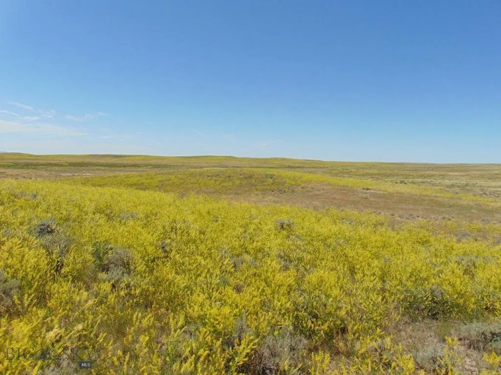Tbd Wilder Trail, Lewistown, Montana 59457, Lewistown, Montana 59457, ,Land,For Sale,Tbd Wilder Trail, Lewistown, Montana 59457,0,402912