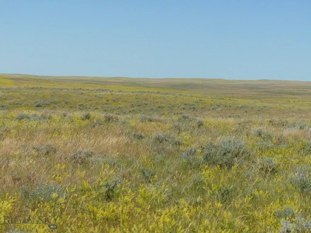 Tbd Wilder Trail, Lewistown, Montana 59457, Lewistown, Montana 59457, ,Land,For Sale,Tbd Wilder Trail, Lewistown, Montana 59457,0,402912