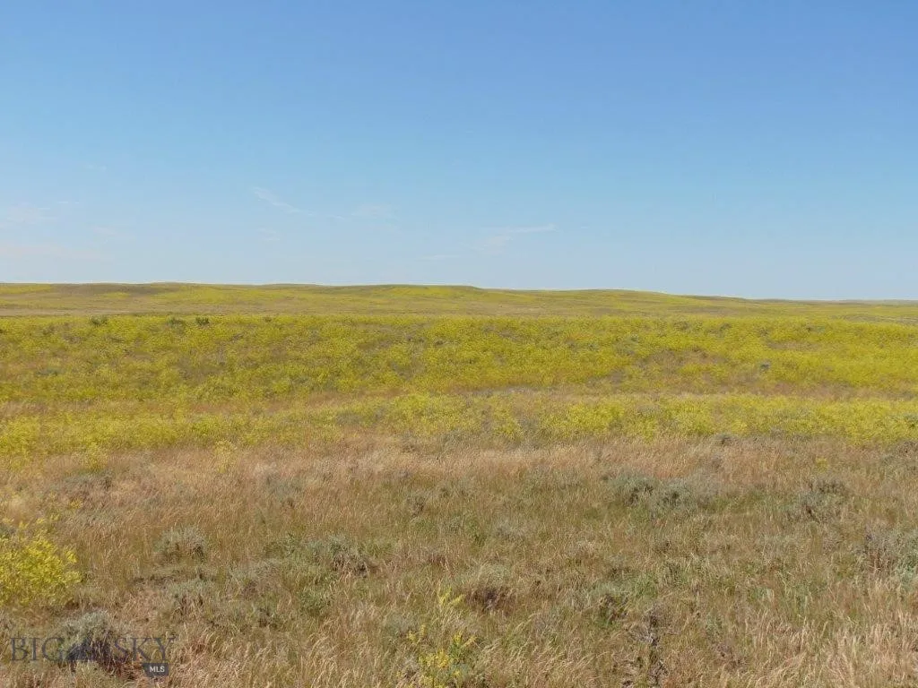 Tbd Wilder Trail, Lewistown, Montana 59457, Lewistown, Montana 59457, ,Land,For Sale,Tbd Wilder Trail, Lewistown, Montana 59457,0,402912