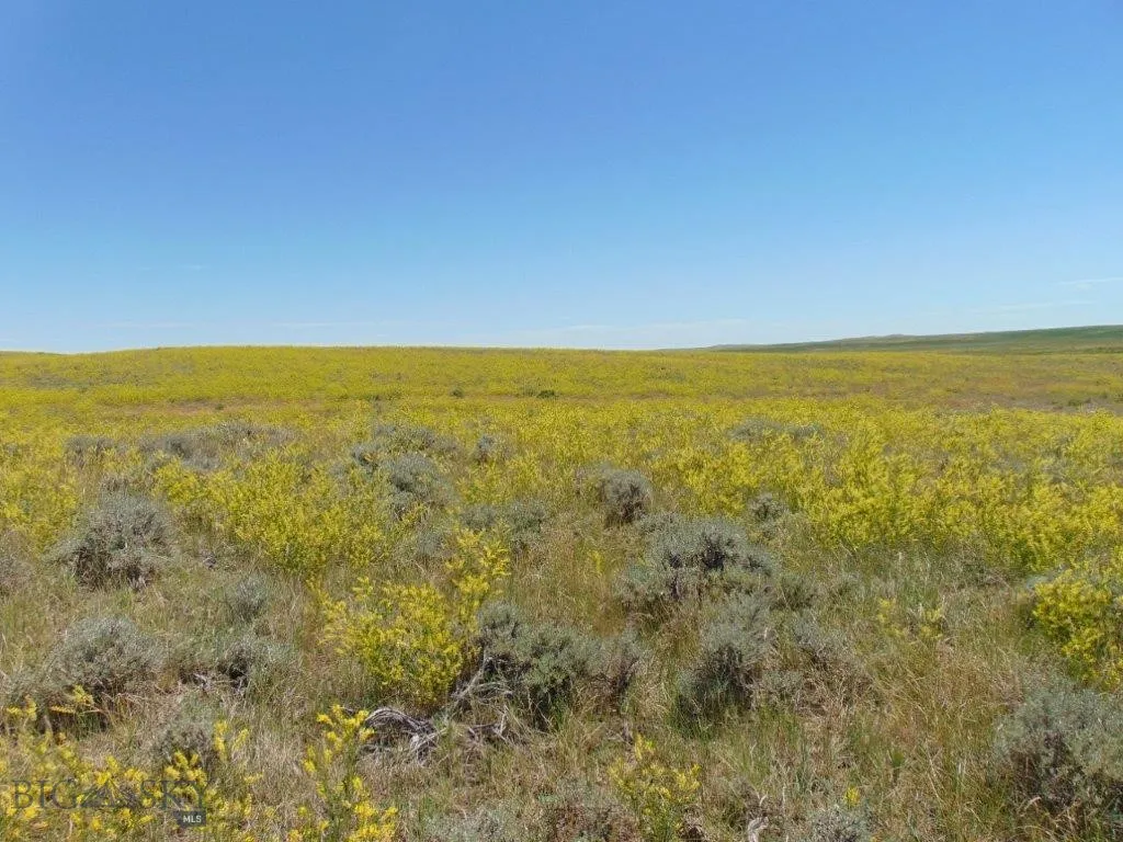 Tbd Wilder Trail, Lewistown, Montana 59457, Lewistown, Montana 59457, ,Land,For Sale,Tbd Wilder Trail, Lewistown, Montana 59457,0,402912